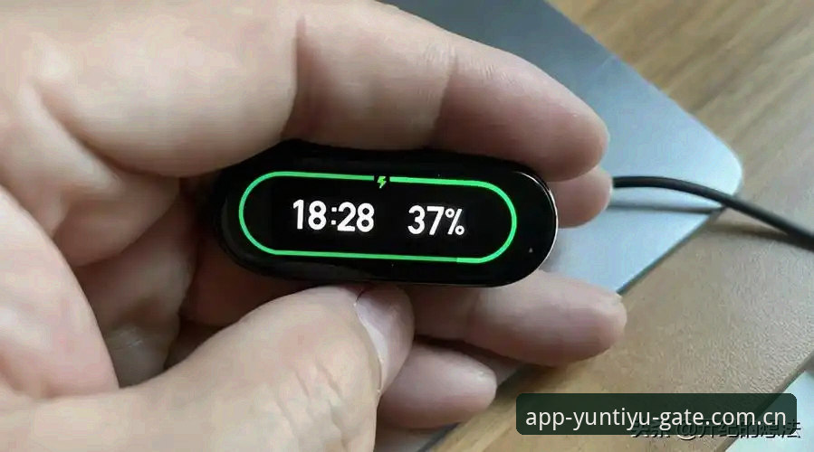 揭秘云体育登录背后的真实体验：一个老用户的深度分享